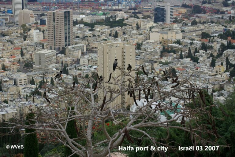 haifa