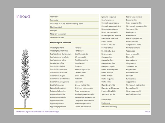 Lees meer over het artikel Nieuw:  Sleutel voor uitgebloeide orchideeën van Nederland en België.