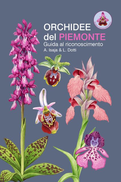 Copertina Orchidee del Piemonte