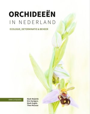 orchideeen_in_nederland